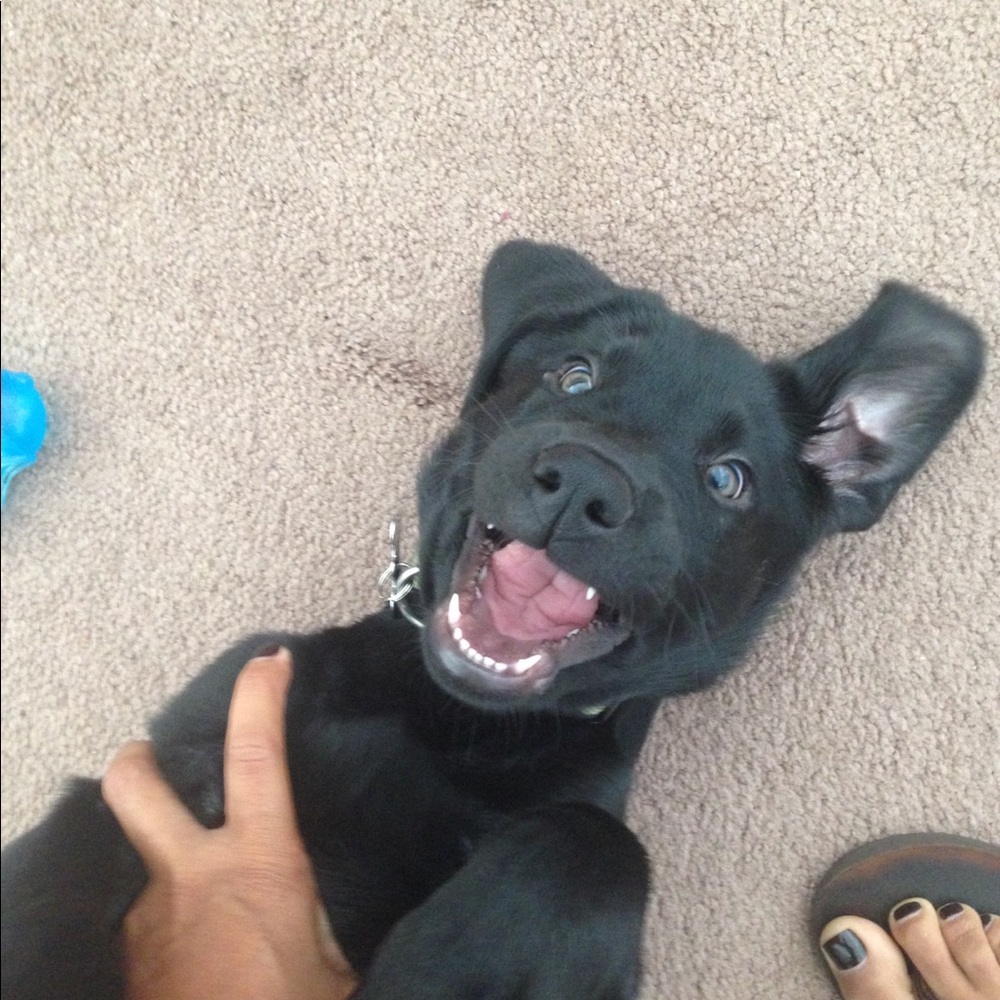 Meet your Posher, Bianca